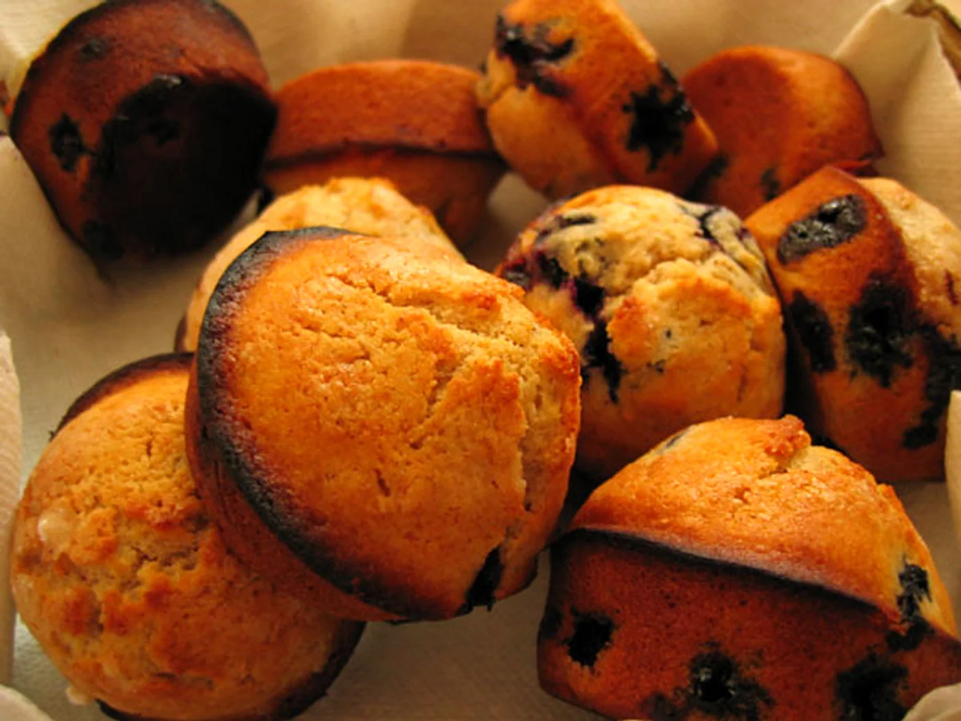 Blueberry Muffin prepared recipe