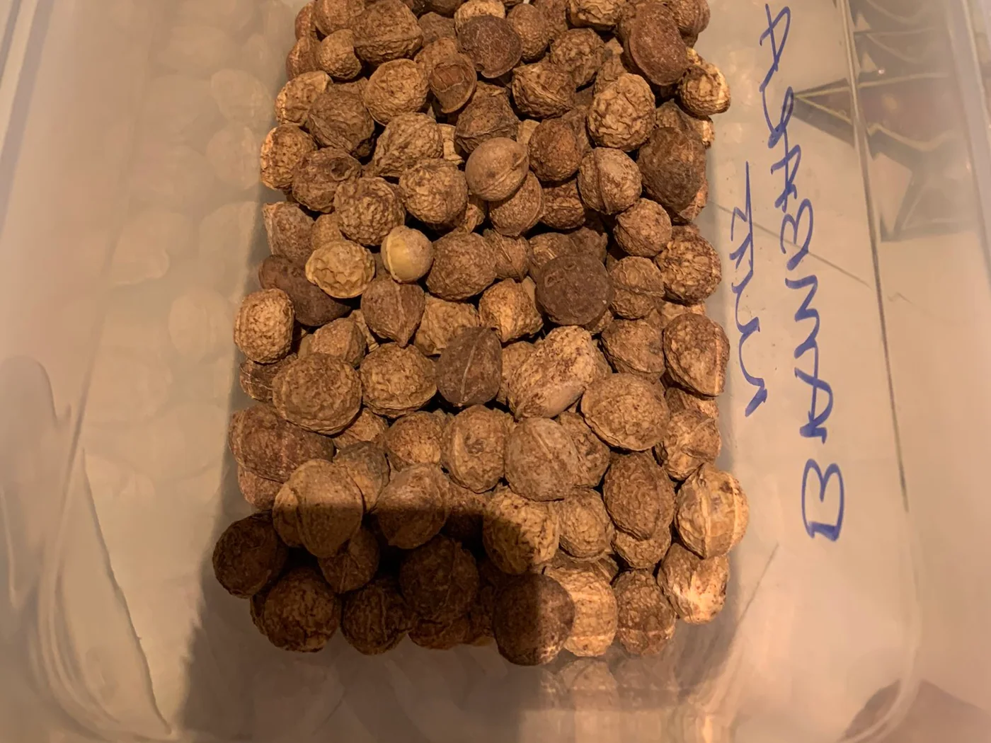 Igbouh Ahi (Nigerian Roasted Bambara Nuts) prepared recipe