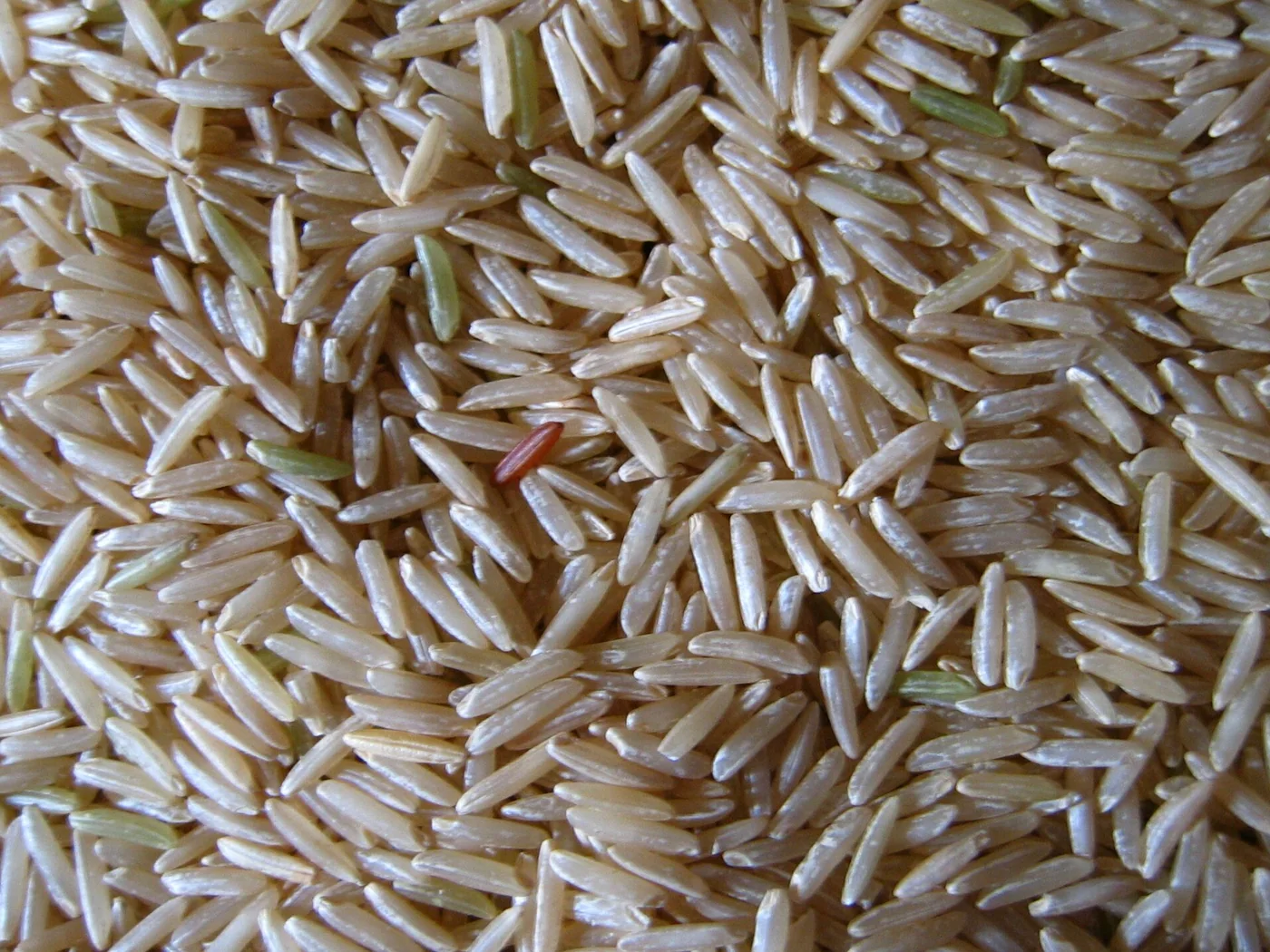 Steamed Basmati Rice prepared recipe
